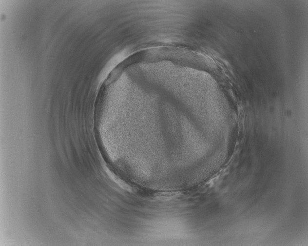 X0000076100051200610152353