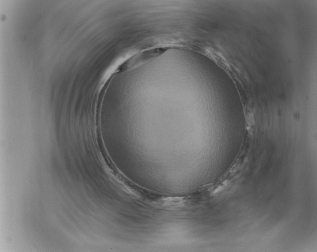 X0000076100052200610152353