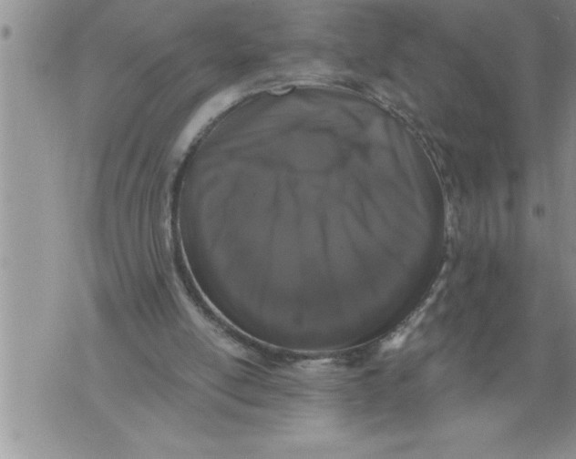 X0000076100054200610152353