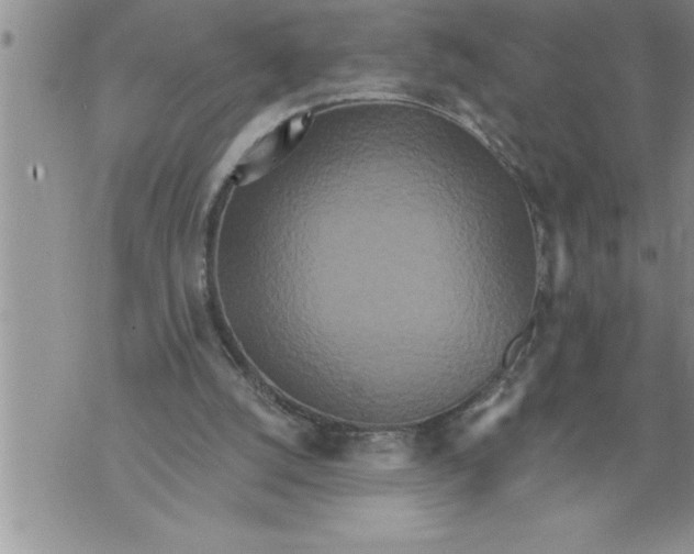 X0000076100056200610152353