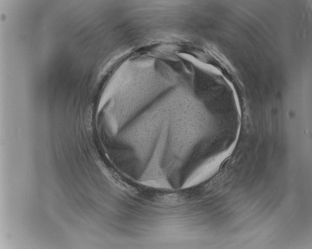 X0000076100058200610152353