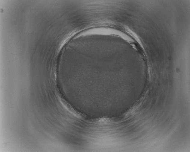 X0000076100059200610152354