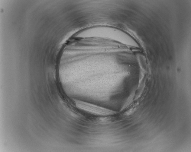 X0000076100060200610152354