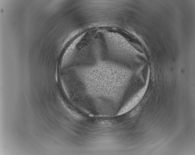 X0000076100062200610152354