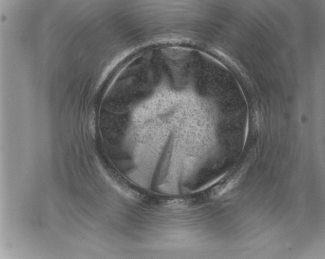 X0000076100064200610152354