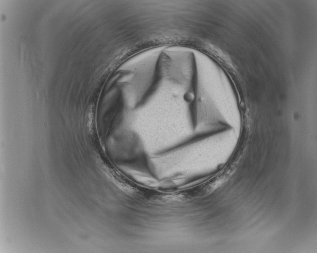 X0000076100065200610152354