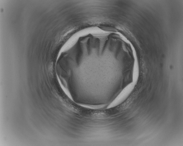 X0000076100066200610152354