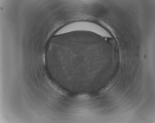 X0000076100067200610152354