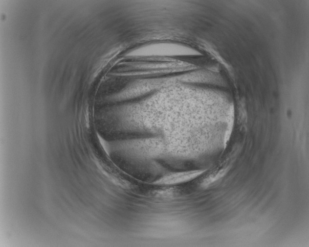 X0000076100068200610152354