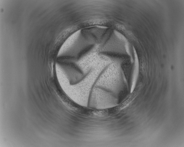 X0000076100070200610152354