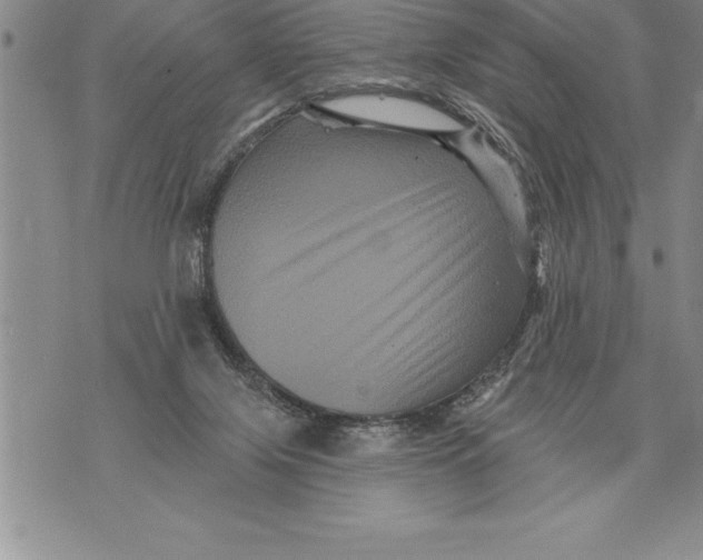 X0000076100071200610152354