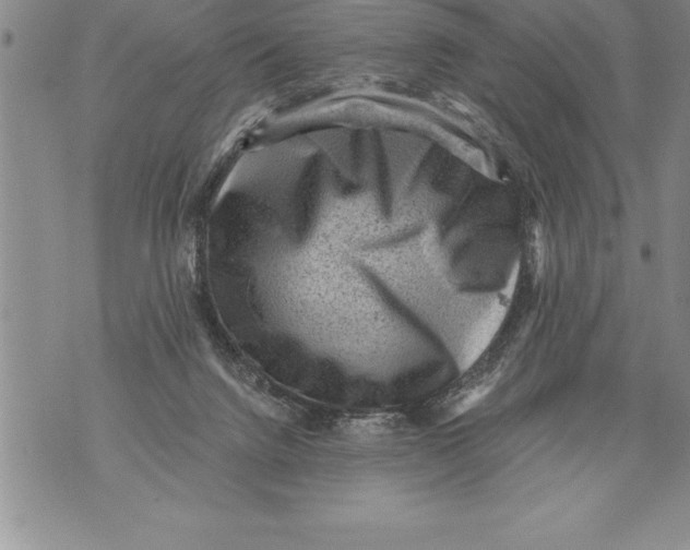 X0000076100072200610152354