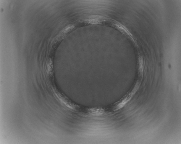 X0000076100073200610152354