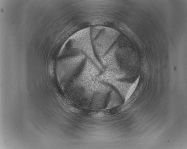 X0000076100074200610152354