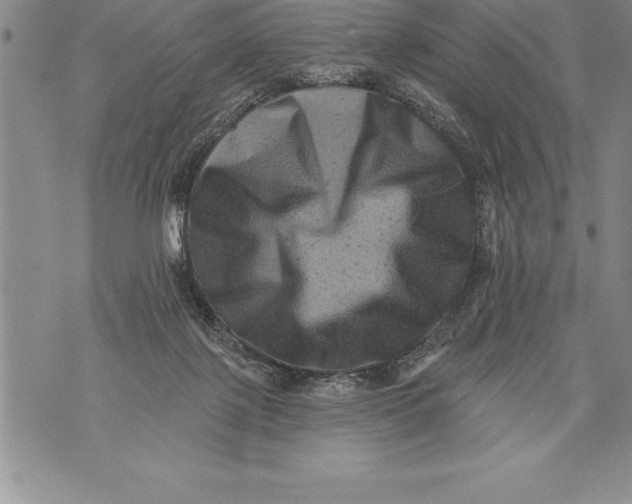 X0000076100075200610152354