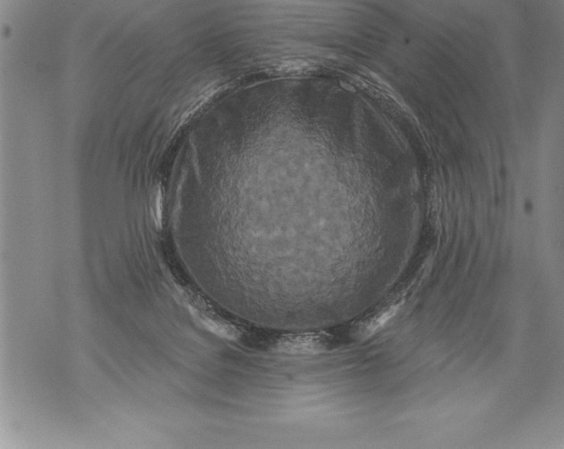 X0000076100076200610152354