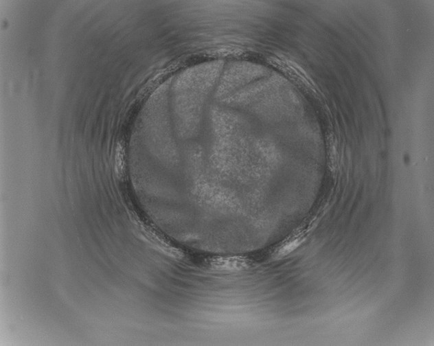 X0000076100077200610152354