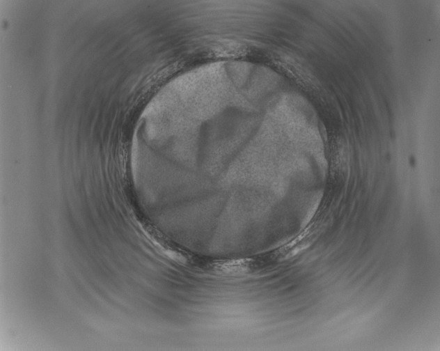 X0000076100078200610152354