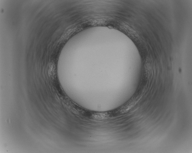 X0000076100079200610152354