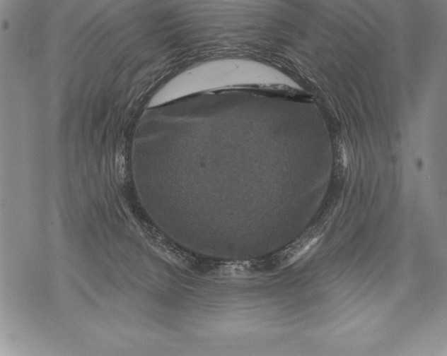 X0000076100080200610152354