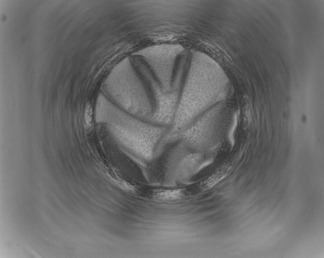 X0000076100081200610152354