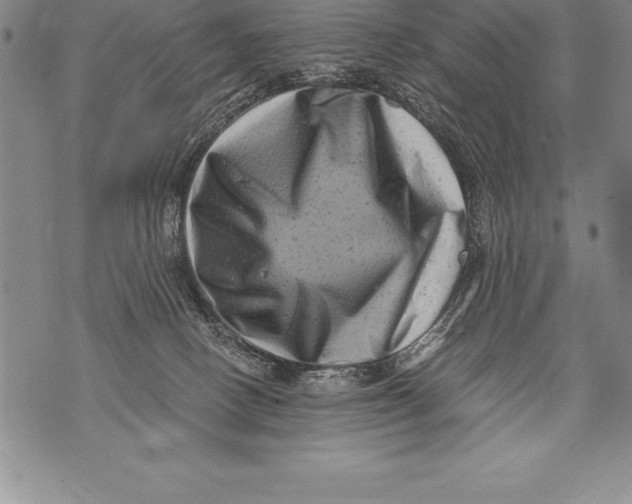 X0000076100082200610152354