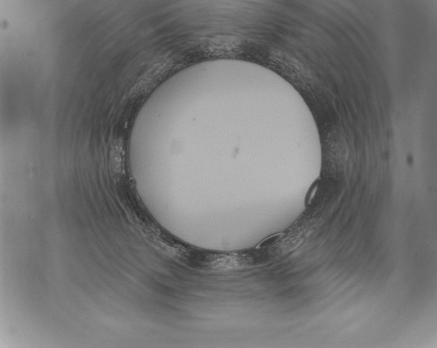 X0000076100083200610152354