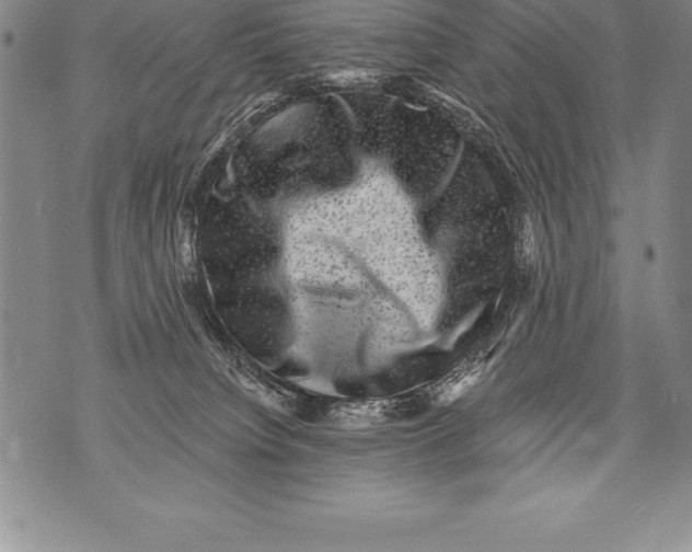 X0000076100084200610152354