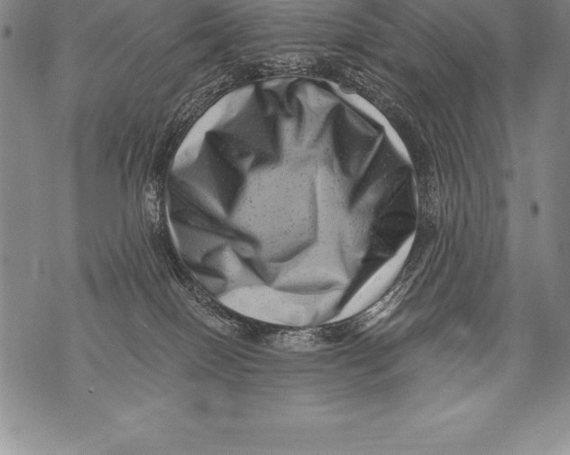 X0000076100086200610152354