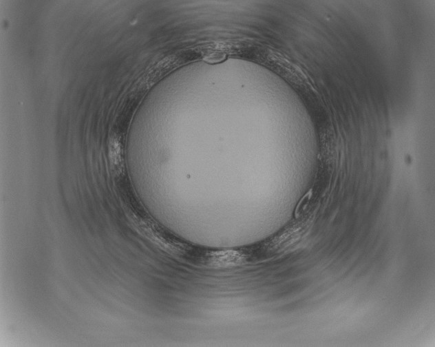 X0000076100087200610152354