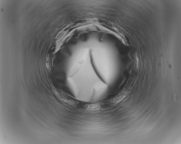 X0000076100088200610152354