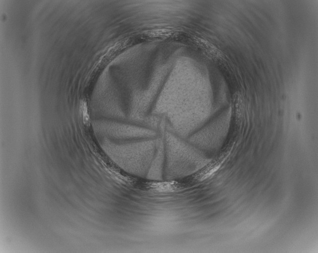 X0000076100089200610152354