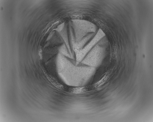 X0000076100090200610152354