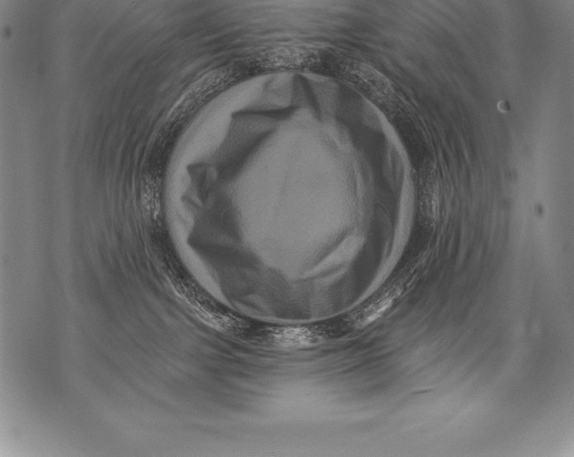 X0000076100091200610152354