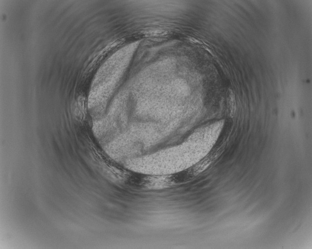 X0000076100093200610152354