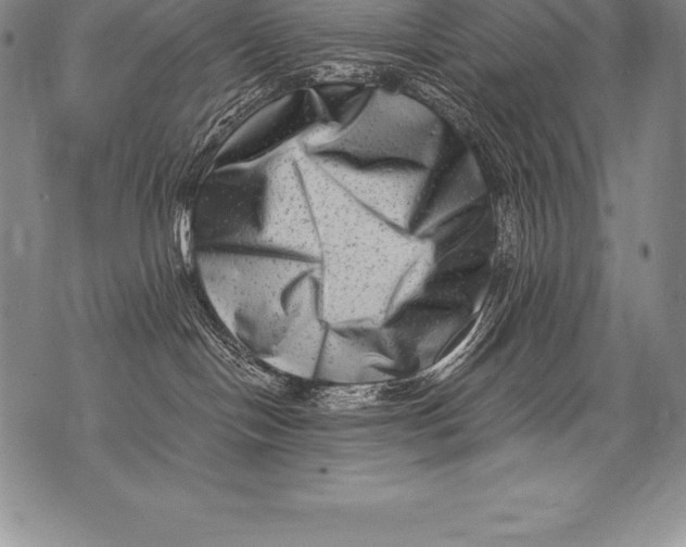 X0000076100094200610152354