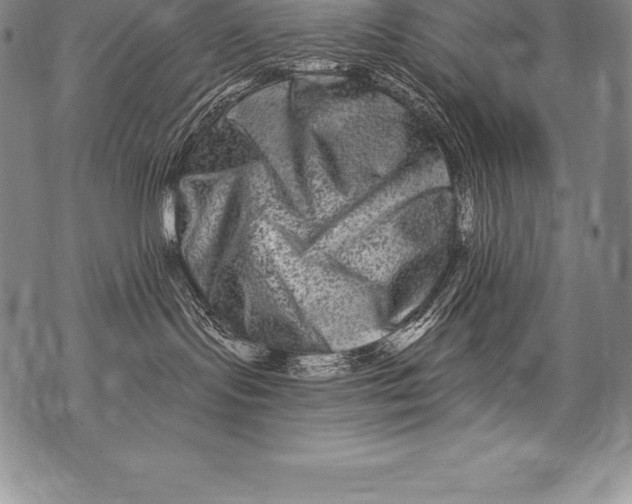 X0000076100095200610152354