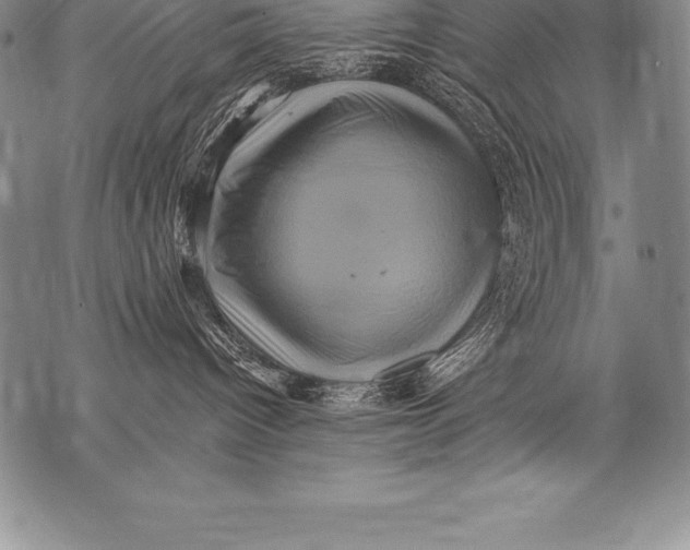 X0000076100096200610152354