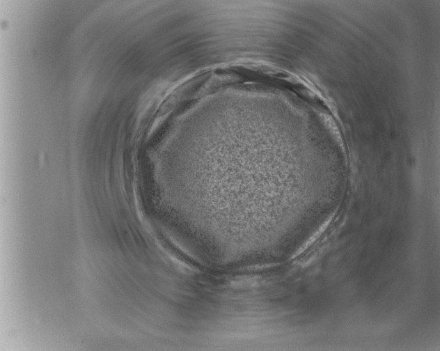 X0000076100097200610152353