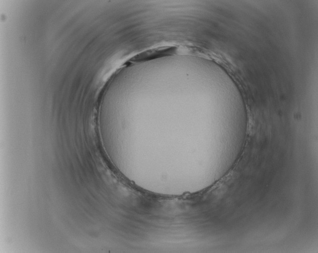 X0000076100098200610152353