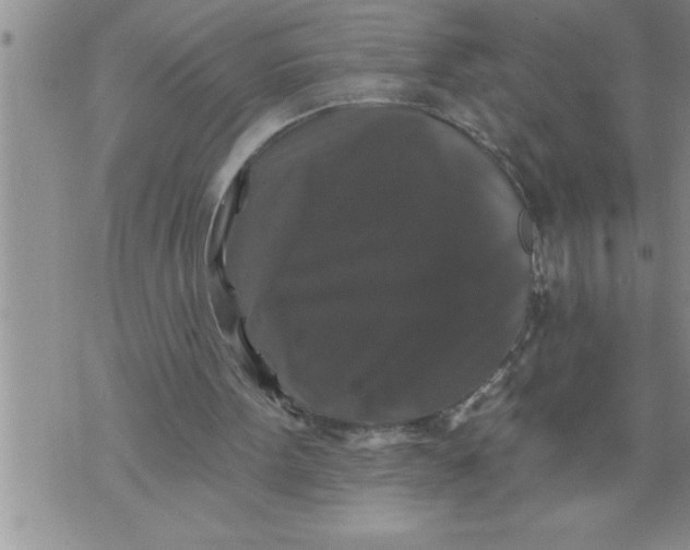 X0000076100099200610152353