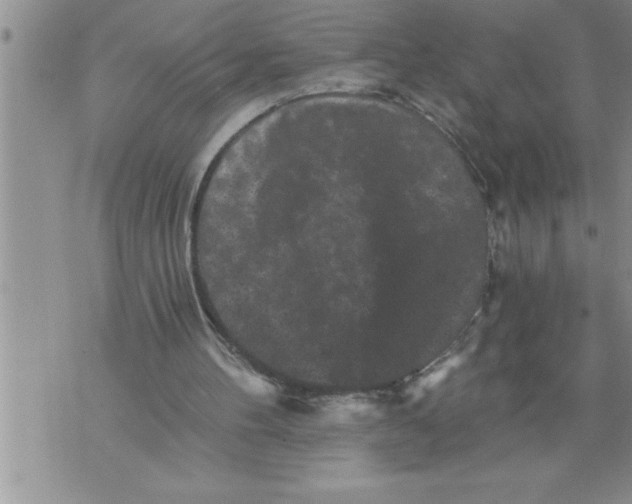 X0000076100100200610152353