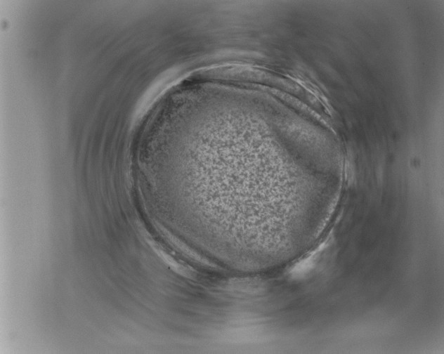 X0000076100101200610152353