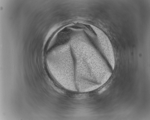 X0000076100102200610152353