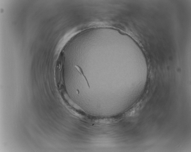 X0000076100103200610152353