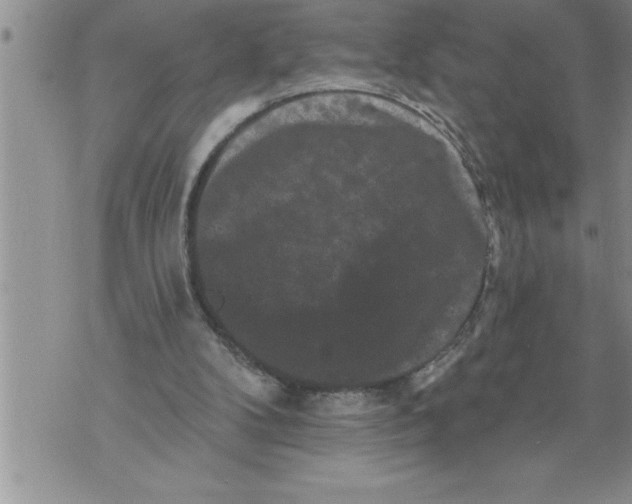 X0000076100104200610152353