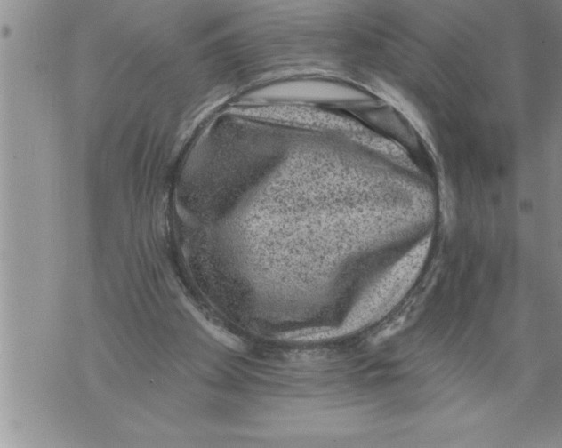 X0000076100105200610152353