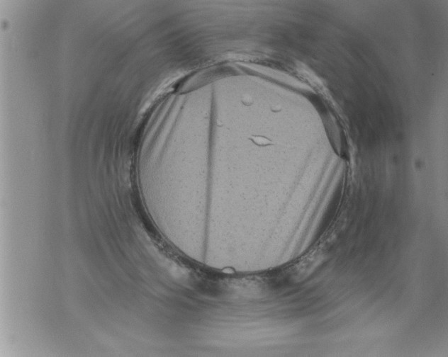 X0000076100106200610152353