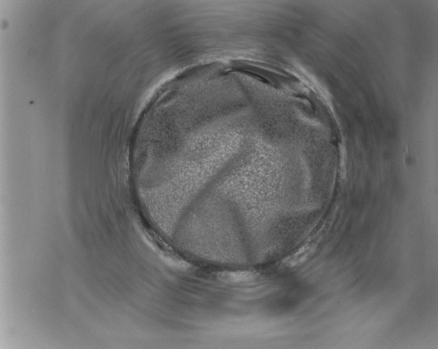 X0000076100107200610152353