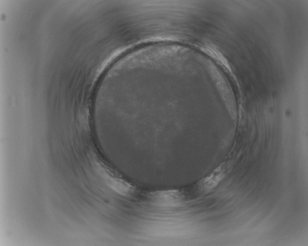 X0000076100108200610152353